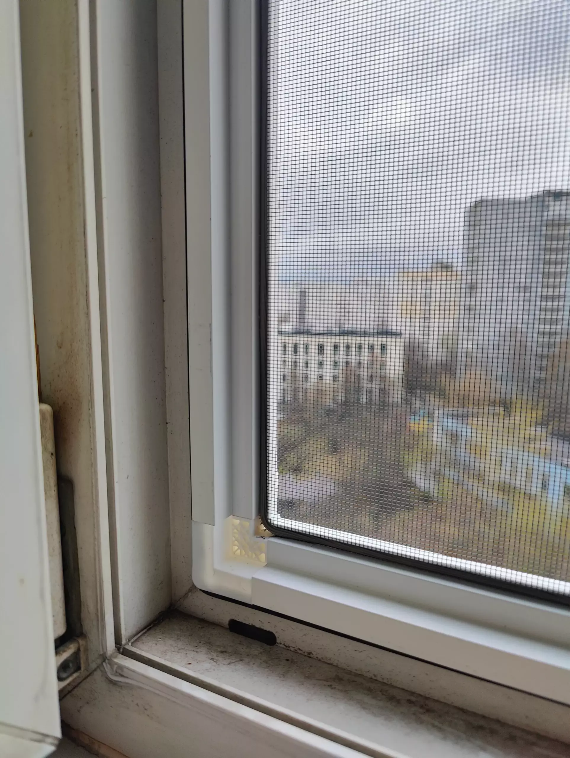 https://web-nero.ru/wp-content/uploads/2026/04/img20260410171547-scaled.webp